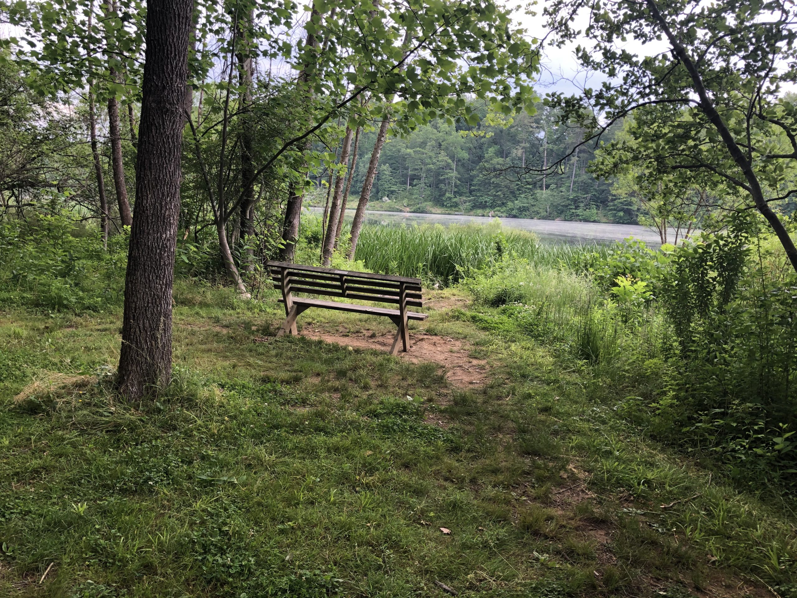 Crozet Trails Ready for the Weekend RealCrozetVA