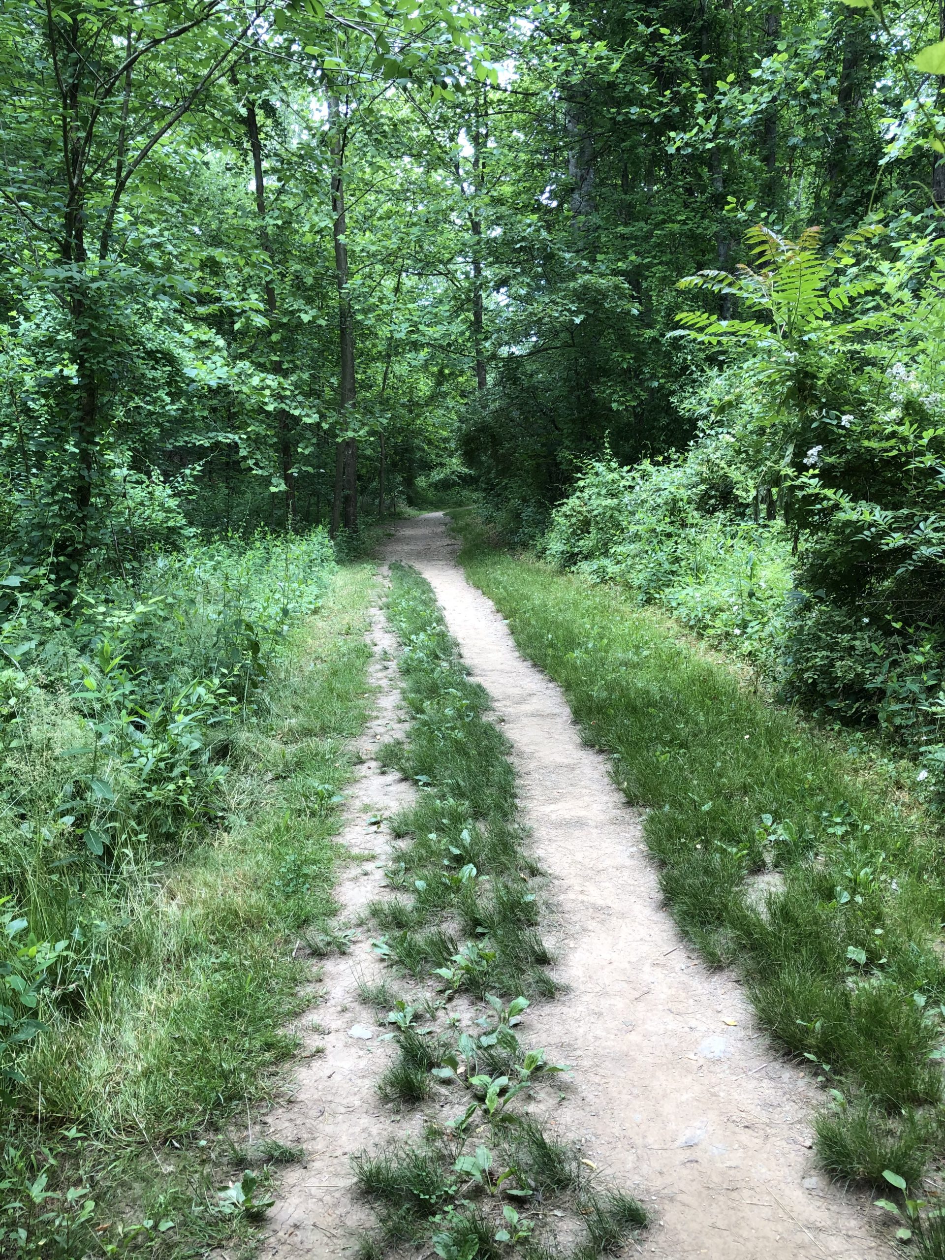 Crozet Trails Ready for the Weekend RealCrozetVA