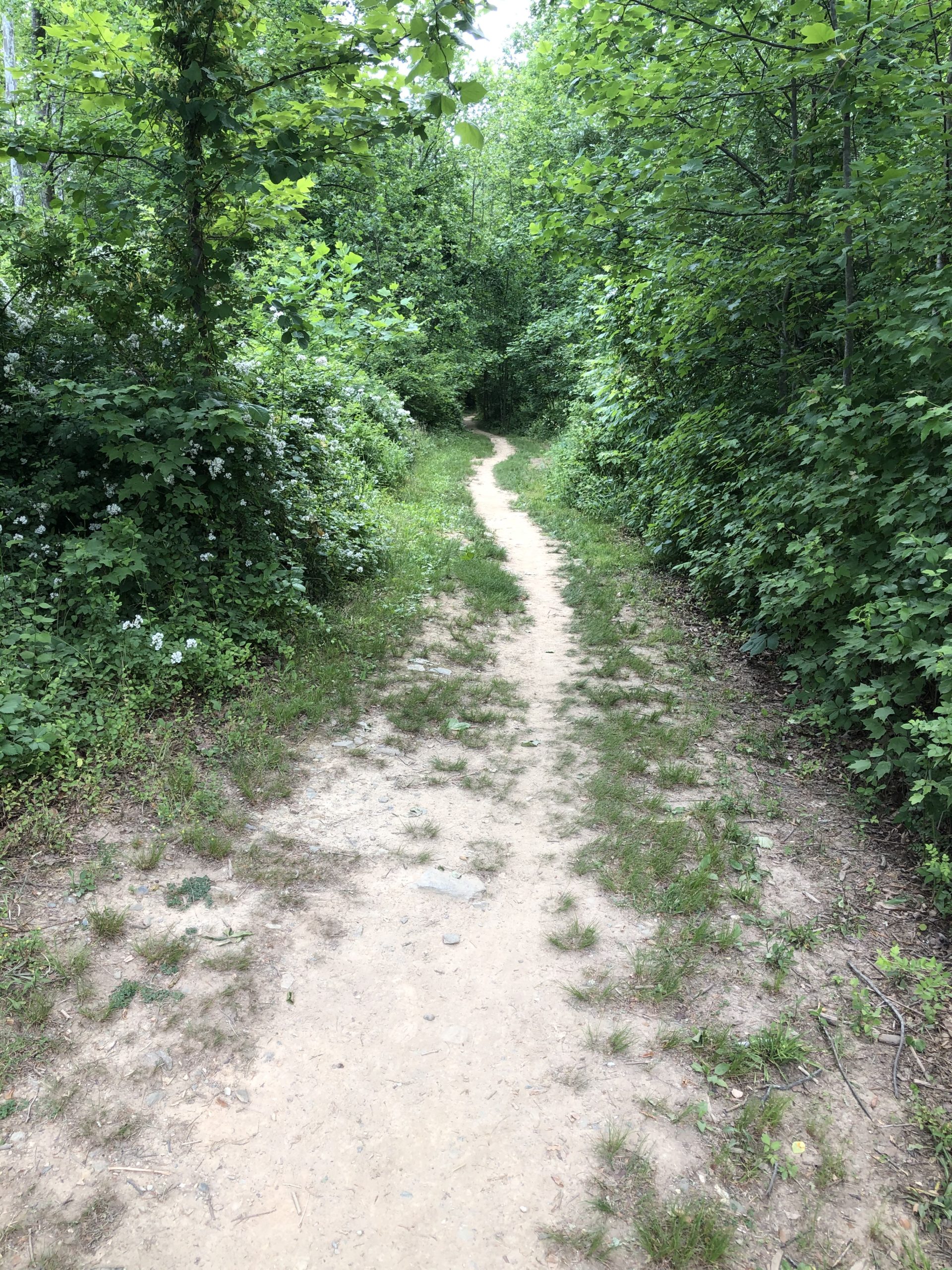 Crozet Trails Ready for the Weekend RealCrozetVA