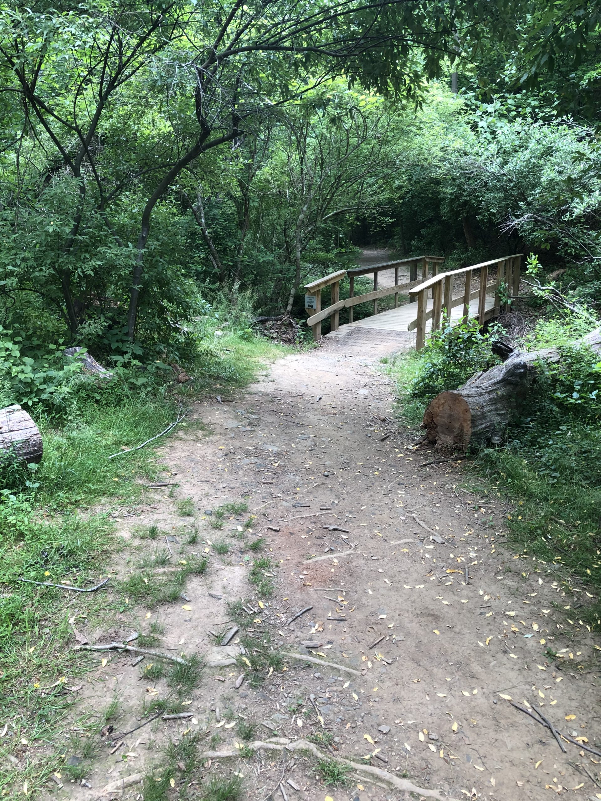 Crozet Trails Ready for the Weekend RealCrozetVA