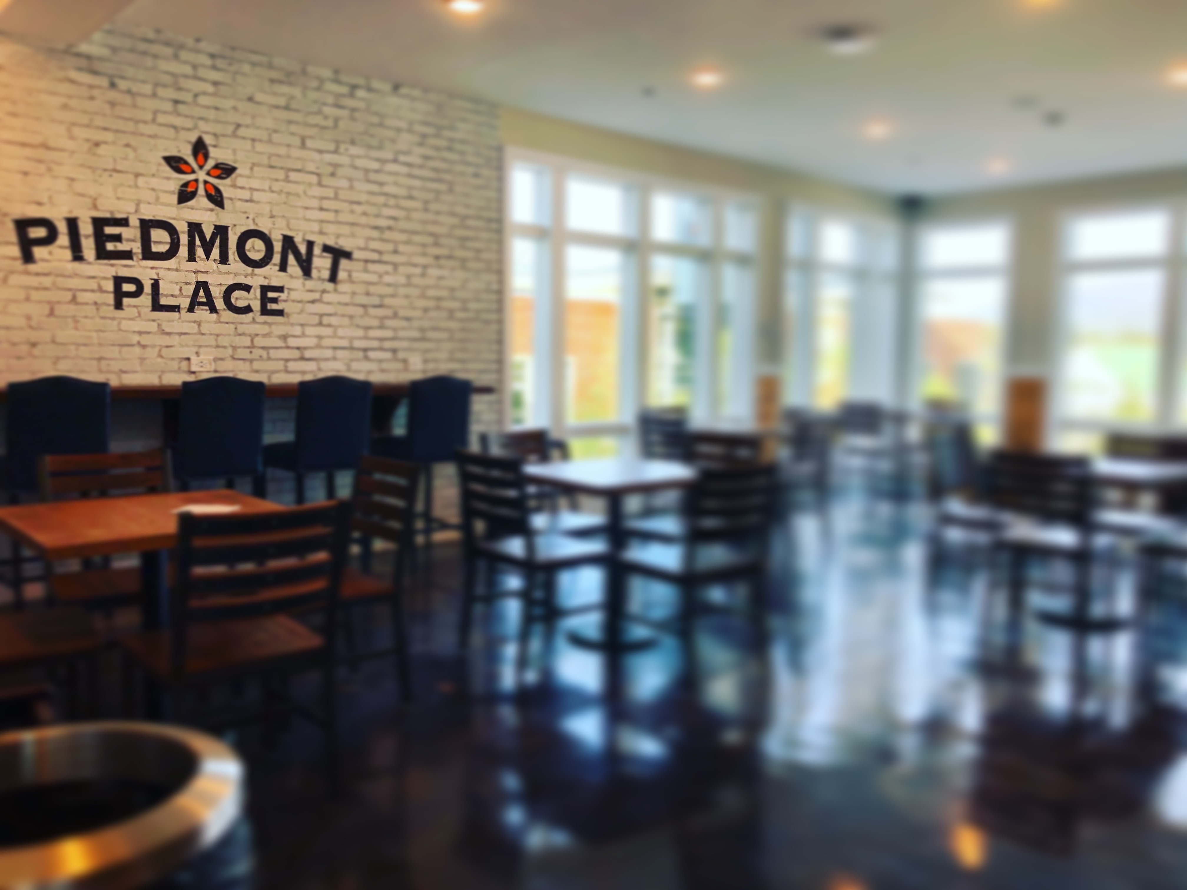 The Crozet Library Grand Opening RealCrozetVA