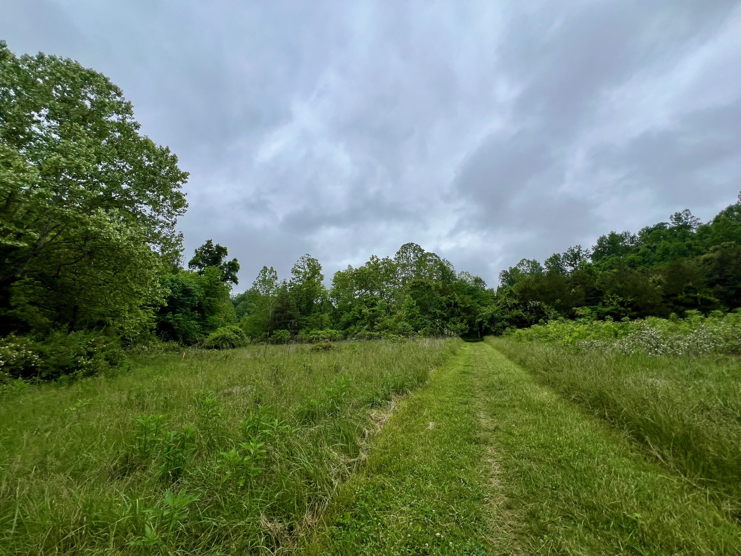 Eastern Connector May be Built After All