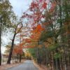 Albemarle BoS – 11-5-2025 – Transportation Update